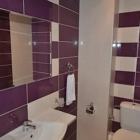 Millennium Complex 4* 스베티 블라스