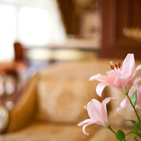 Millennium Complex 아파트호텔 스베티 블라스