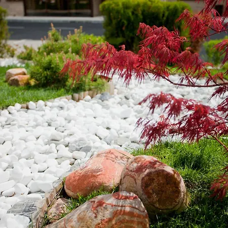 Millennium Complex 스베티 블라스